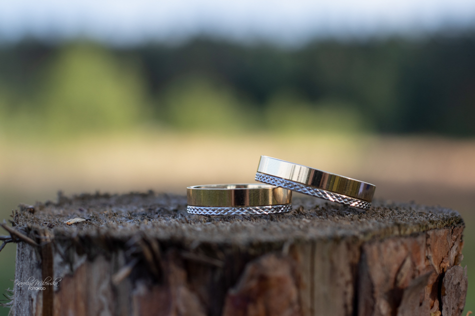 Sesja zdjęciowa ślubna